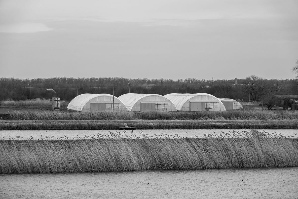 Timashevsk in Monochrome 3